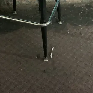 Look how dirty the floor it is with nasty stuff !!!!!!