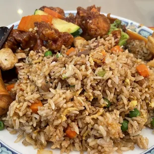 a plate of chinese food