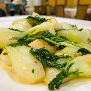 Garlic Bok Choy