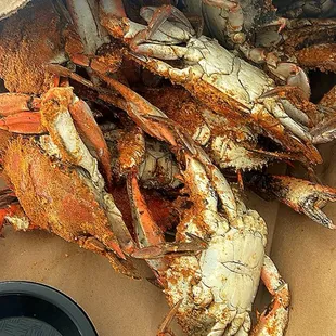 Large Male Crabs