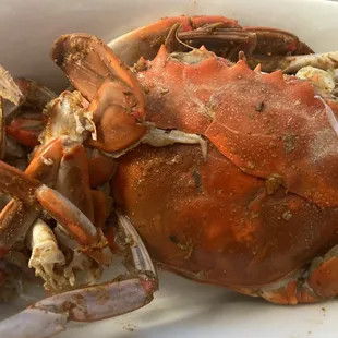 The last crab standing from my order; they were devoured; I held one back for photo op.