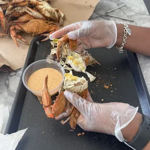 Large Male Crabs