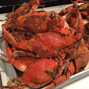 Solid large River Crab!