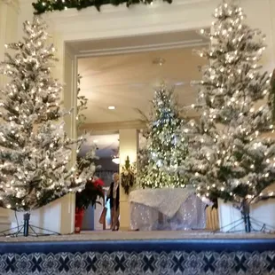 Main entrance at Christmas