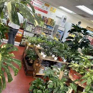 Inside