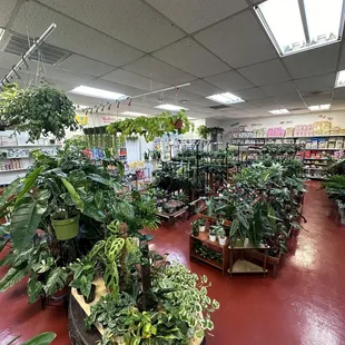 interior