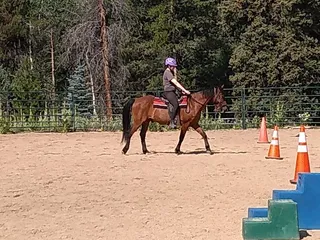 Green Meadow Stables