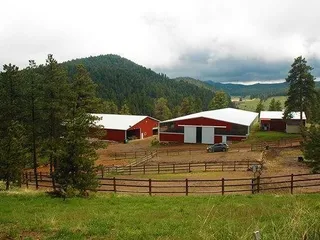 Conifer Stables