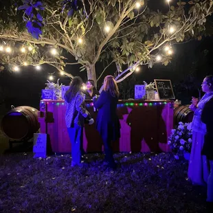 Bar stand at night under the light of starts and the tree