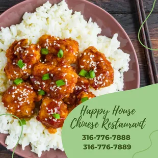 a plate of rice and meatballs