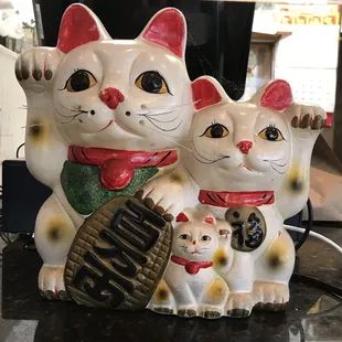 three cats