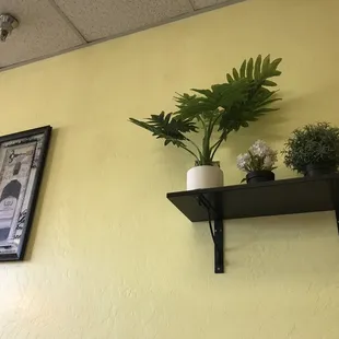 sushi and sashimi, interior