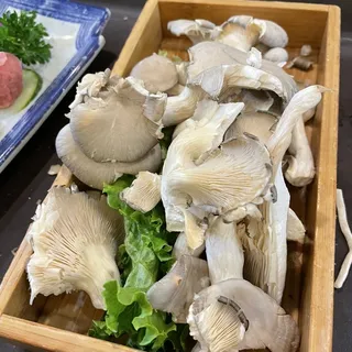 Oyster Mushroom