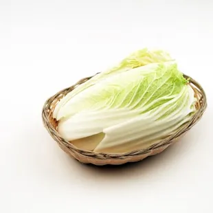 Napa Cabbage