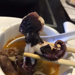 Octopus