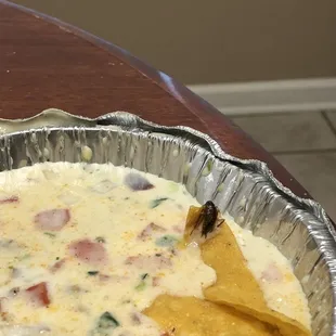 a tortilla in a pie tin