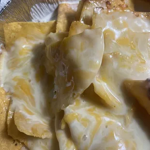 Technically vegetarian but forgot the vegetables.