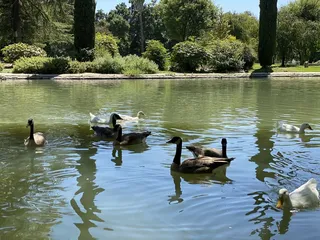 Mayor Anne Rudin Peace Pond