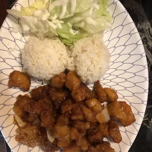 Sweet and sour chicken- top view