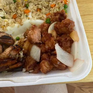 Sweet and Sour Chicken and Teriyaki Chicken