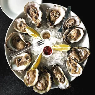 Oysters