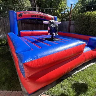 Mechanical bull ride