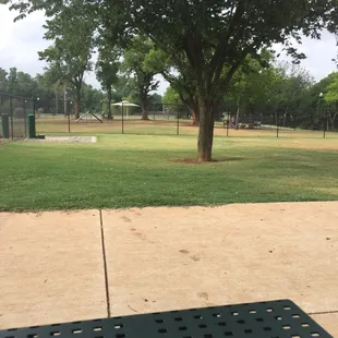 Beautiful dog park