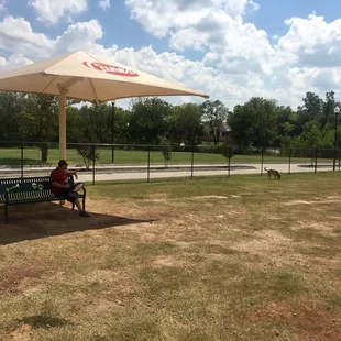 Lots of benches and shaded spots.