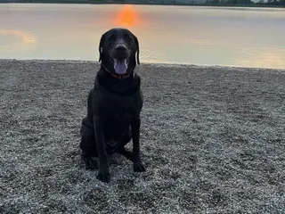 Shawnee Mission Dog Park