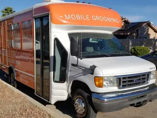 Precious dog grooming