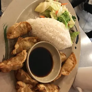 Gyoza Plate