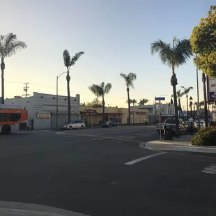 I love the drunken noodles .