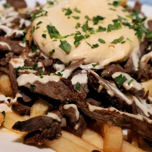 Beef Shawarma Fries Topped with Hummus