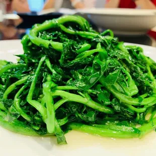 oysters and mussels, food