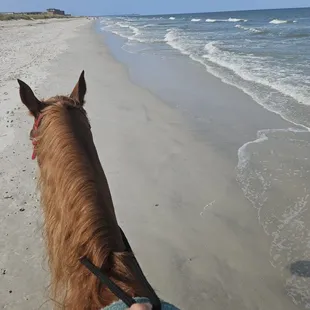 Riding on the beach was amazing!!