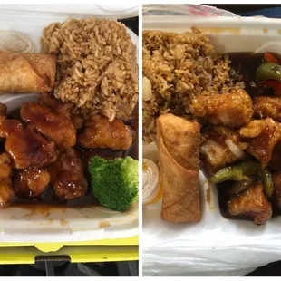 General Tso and Orange chicken, only difference was the veggies. To many lies, but yelp won't let me post all the issues