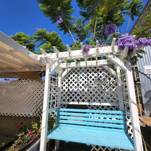 a blue bench under a pergolated arbor