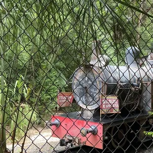 an old train in a wooded area