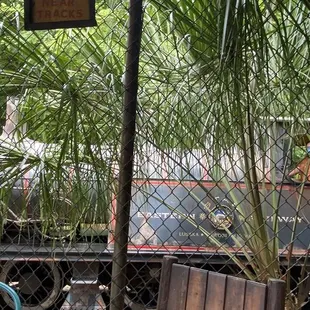 a horse in the back of a truck