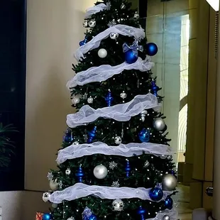 Beautiful Christmas tree inside the lobby of the Harbor Court building.