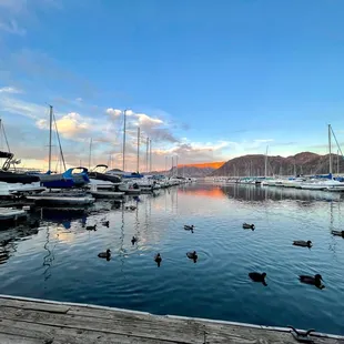 View from the restaurant