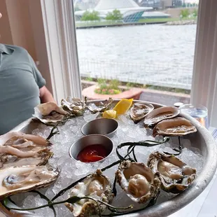 4 place different oyster