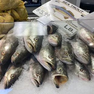 a pile of fish on ice