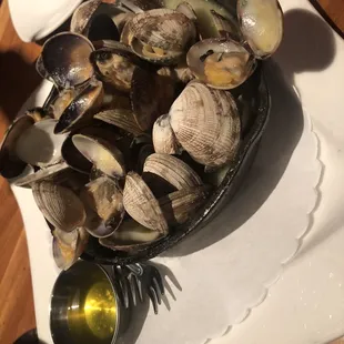 Steamed Clams