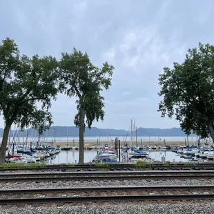 View from our table outside.