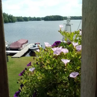 Lunch.. with a view!