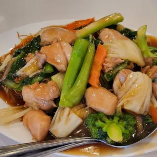 Chicken pan fried noodles.  Gravy style.