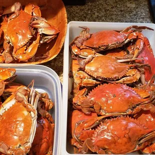 And again another GREAT PURCHASE.