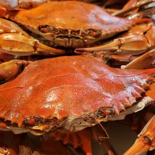 a close up of a tray of crabs