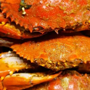 a pile of cooked crabs